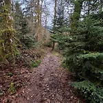 Maison Roma, Se Ressourcer Proche De Gerardmer Et La Bresse Nyaraló *