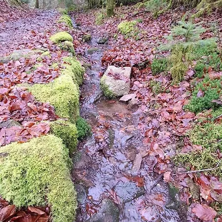 بيت للعطل Maison Roma, Se Ressourcer Proche De Gerardmer Et La Bresse *