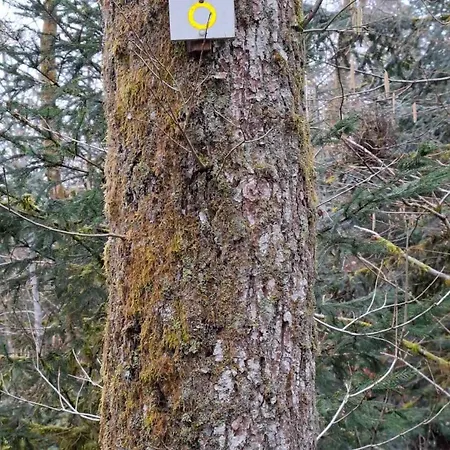 Maison Roma, Se Ressourcer Proche De Gerardmer Et La Bresse בית נופש