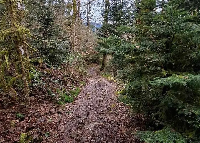 Maison Roma, Se Ressourcer Proche De Gerardmer Et La Bresse 度假居 *